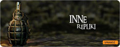 Inne