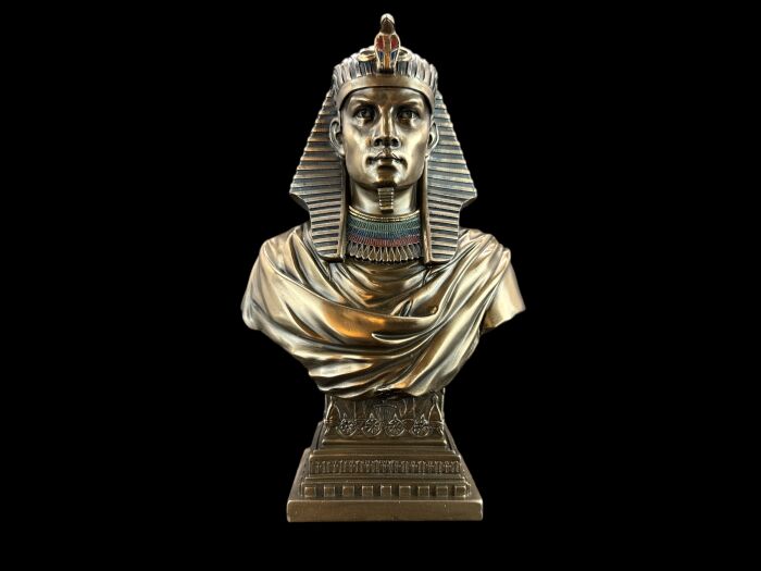 BUSS DER PHARAOH VERONESE (WU75501V4)