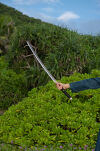 Miecz Katana Roronoa Zoro Yubashiri One Piece Drewniany JT10510 - 14