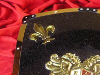 STEEL SHIELD CHARLES V, römisch-deutscher Kaiser (809) - 3