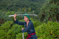 Miecz Wakizashi Krótka Katana Roronoa Zoro Wado Lchimonji One Piece Drewniany 77cm plus Stojak i Pas JT10512-W - 17