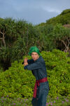 Miecz Katana Roronoa Zoro Enma One Piece Drewniany JT10661BK - 12