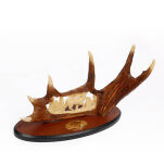 DUŻY KORDZIK MYŚLIWSKI JELEŃ POROŻE PREZENT DLA MYŚLIWEGO 38 CM JT7078-D - 5